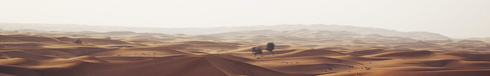 ݻڹܵ޹˾